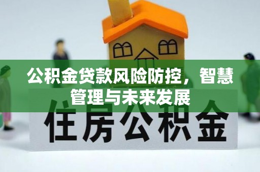 巴林左旗公积金贷款风险防控，智慧管理与未来发展