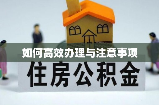 巴林左旗如何高效办理与注意事项
