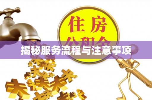 巴林左旗揭秘服务流程与注意事项