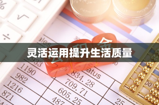 巴林左旗灵活运用提升生活质量