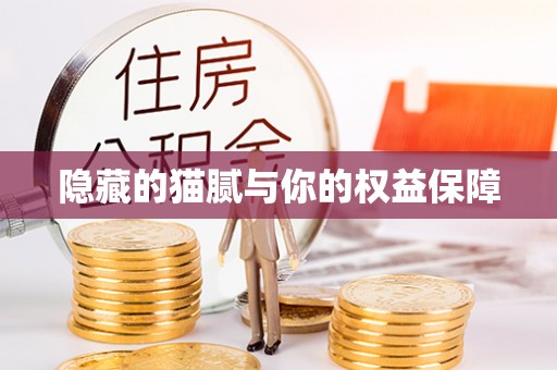 巴林左旗隐藏的猫腻与你的权益保障