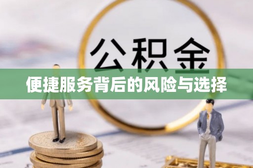 巴林左旗便捷服务背后的风险与选择