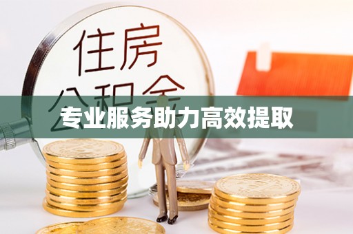 巴林左旗专业服务助力高效提取