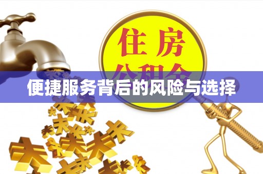 巴林左旗便捷服务背后的风险与选择